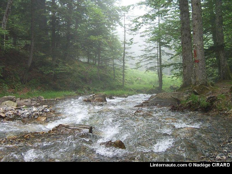 Fond ecran (49)